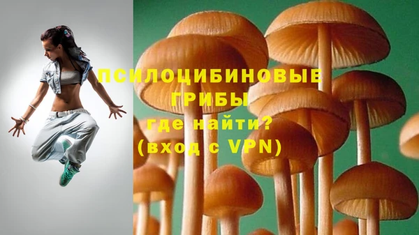 MDMA Алексеевка