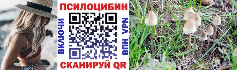 Галлюциногенные грибы ЛСД KRAKEN как зайти Перевоз